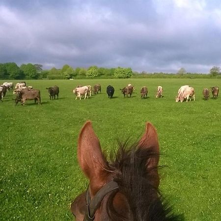 Battens Farm Cottages B&B Yatton Keynell Luaran gambar