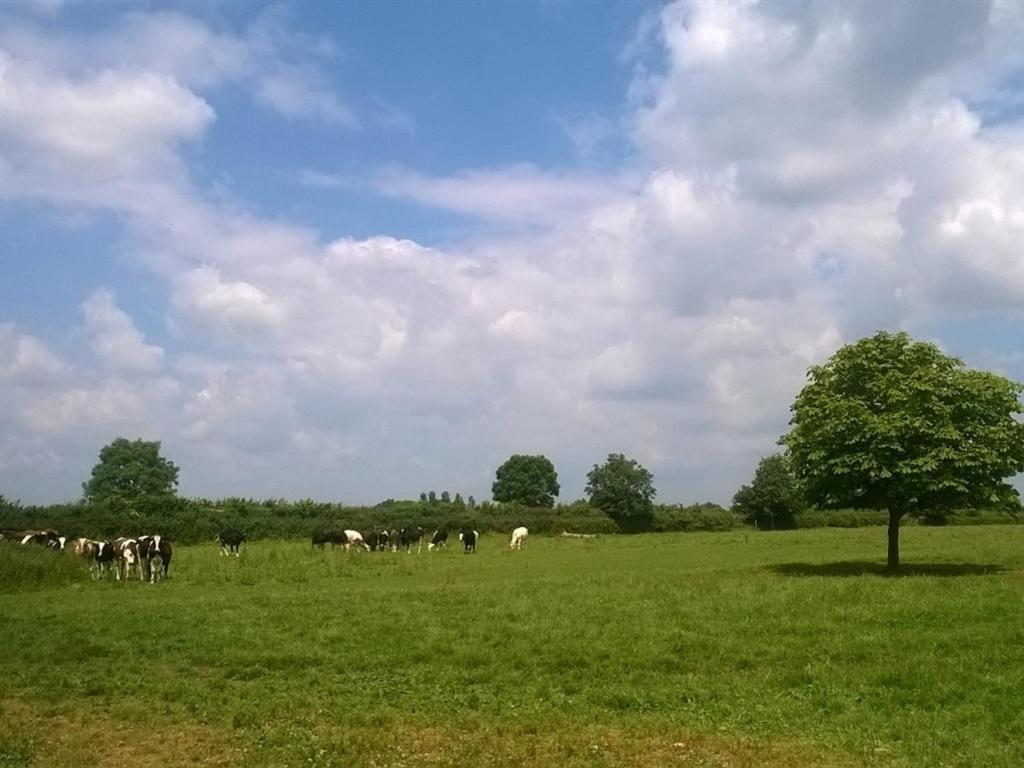 Battens Farm Cottages B&B Yatton Keynell Luaran gambar