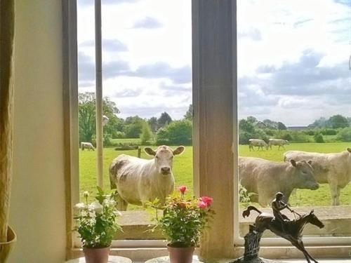 Battens Farm Cottages B&B Yatton Keynell Luaran gambar